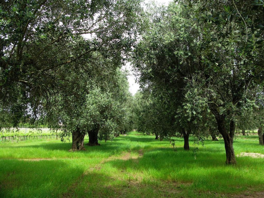 Masseria San Polo Squinzano Exterior photo