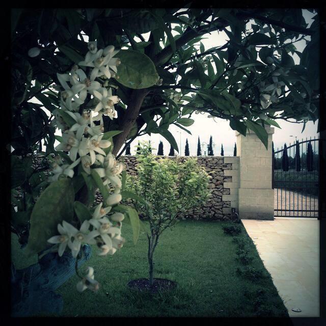 Masseria San Polo Squinzano Exterior photo